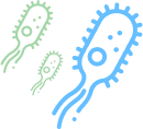 Bacterial superinfections